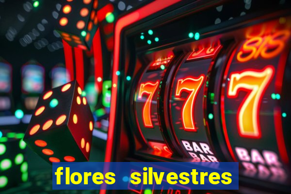 flores silvestres desbravadores desbravadores 25 flores silvestres e seus nomes